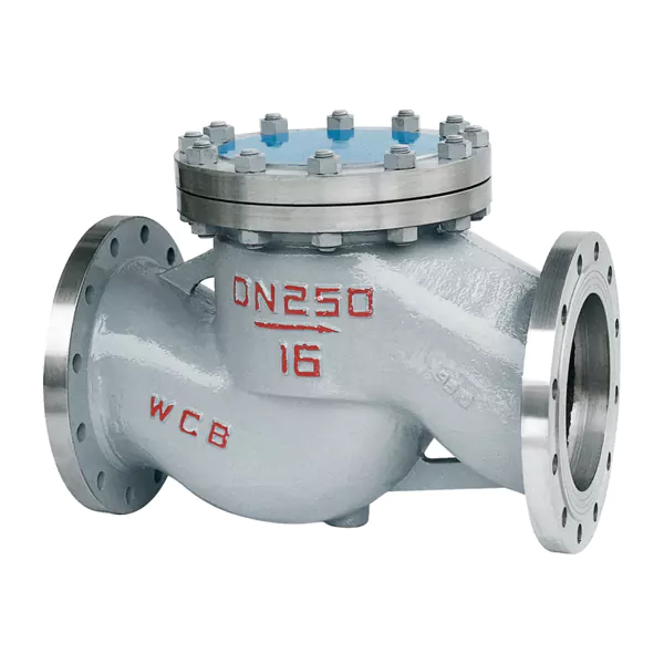 Cast steel lifting check valve