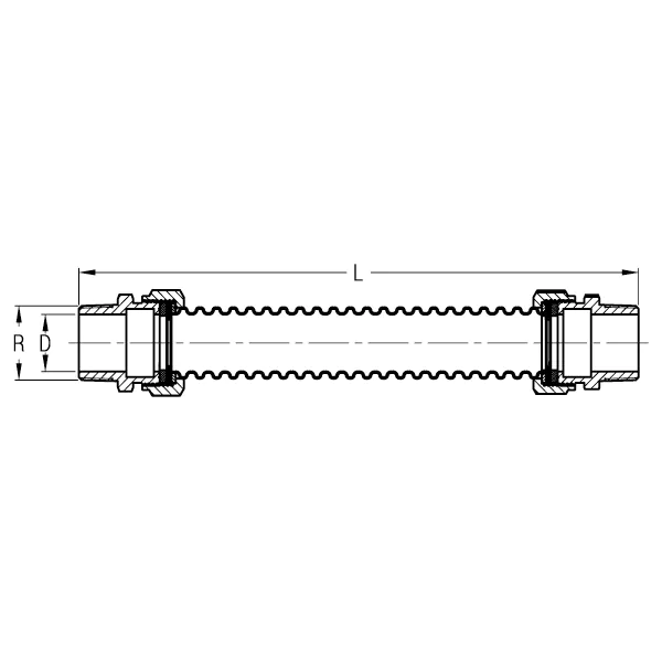 BG1001.1