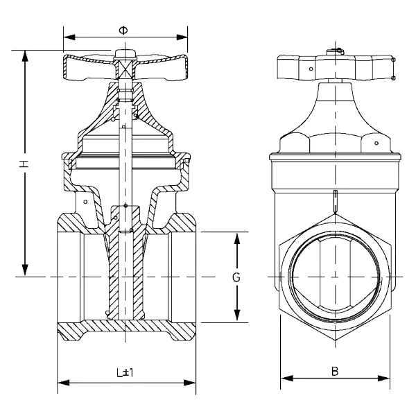 Z15X.1