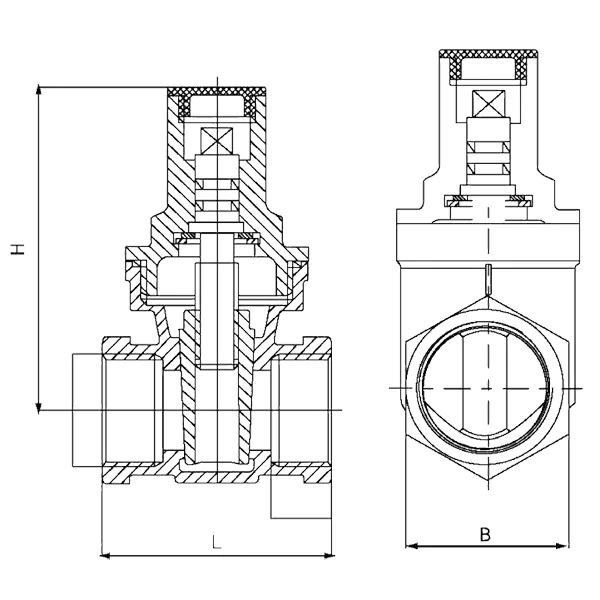 DZ15X.1