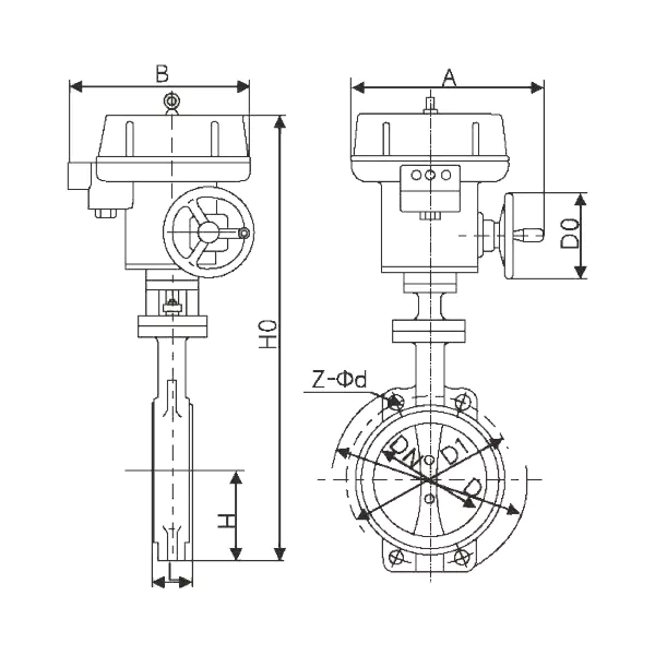 D6971X.1
