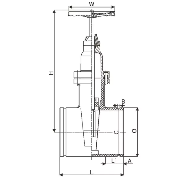 Z81X.1